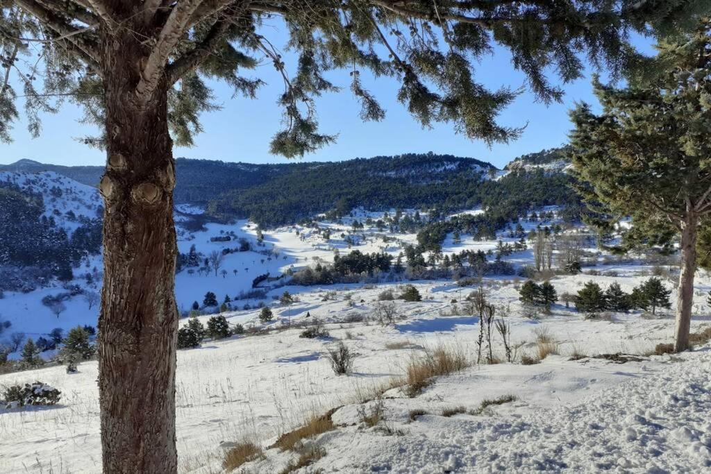 Apartamento Solano - Virgen De La Vega - Alcala Ideal Montana Y Relax Teruel Zewnętrze zdjęcie